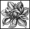 lotusflower1x2